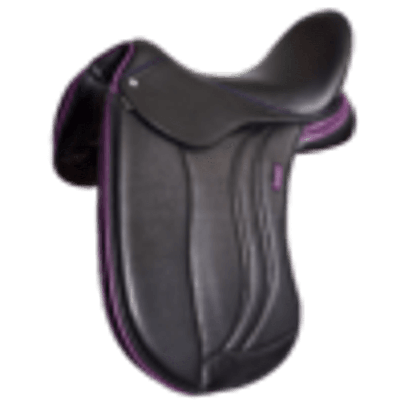 BNL Dressursal Lets DanceBi-NateLine®