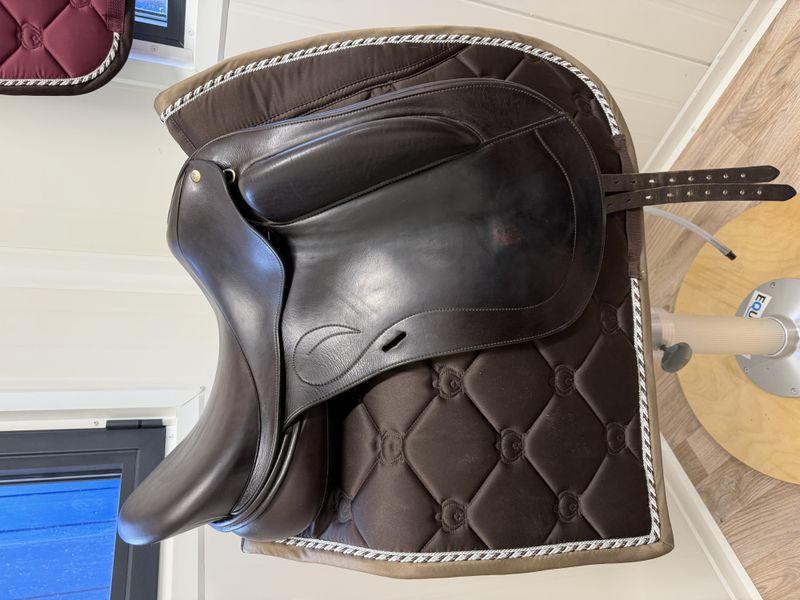 DK Dressursal Bond ll brukt fra 2019 18