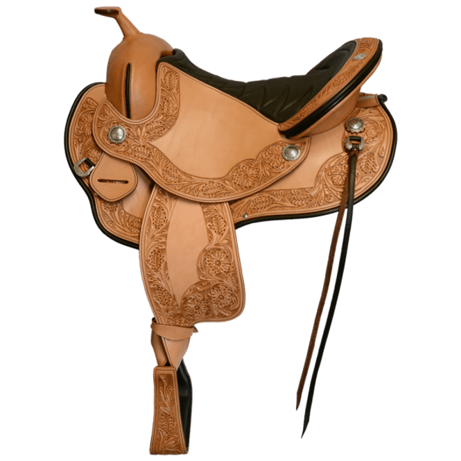 Hovedbilde WE Western Dressage Cadence